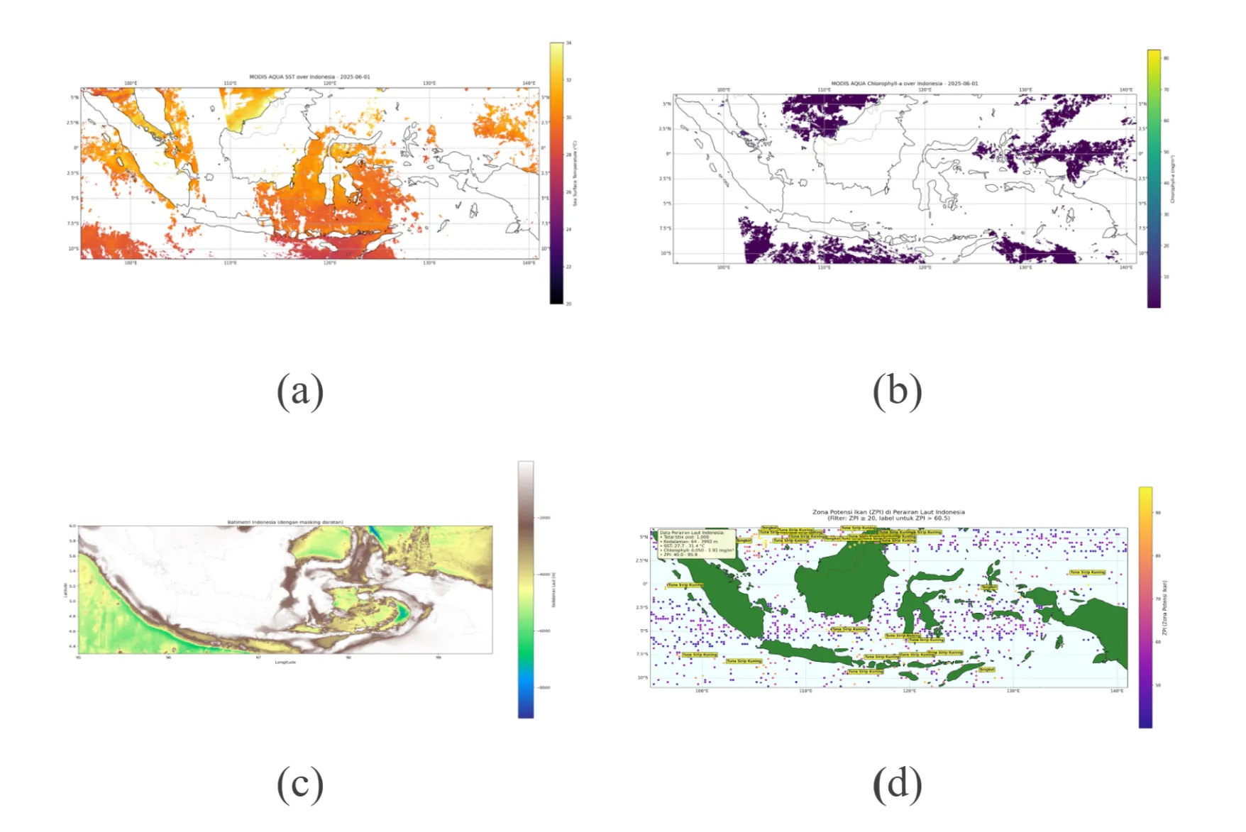 Satellite Data